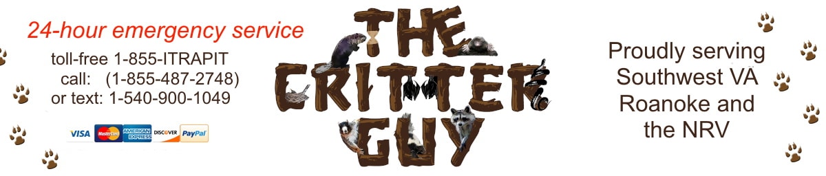 The Critter Guy